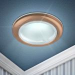 WR1 SC Светильник ЭРА влагозащищенный MR16,12V/220V, 50W медь (100/2400)