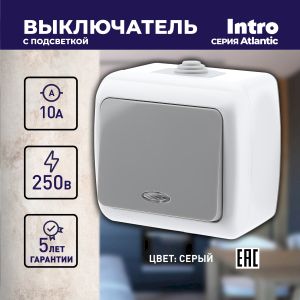 Выключатель Intro Atlantic 5-102-03 с подсветкой, 10А-250В, IP54, открытой установки, серый Выключатель Intro Atlantic 5-102-03 с подсветкой, 10А-250В, IP54, открытой установки, серый
