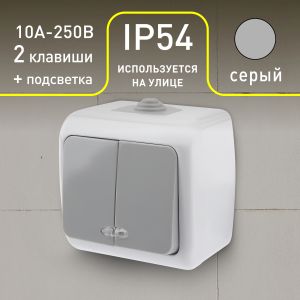 Выключатель Intro Atlantic 5-105-03 двойной с подсветкой, 10А-250В, IP54, открытой установки, серый Выключатель Intro Atlantic 5-105-03 двойной с подсветкой, 10А-250В, IP54, открытой установки, серый