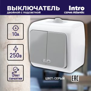 Выключатель Intro Atlantic 5-105-03 двойной с подсветкой, 10А-250В, IP54, открытой установки, серый Выключатель Intro Atlantic 5-105-03 двойной с подсветкой, 10А-250В, IP54, открытой установки, серый