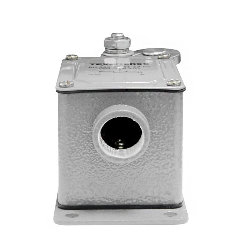 Выключатель концевой ВК-200-БР-11-67У2 универсальный Выключатель концевой ВК-200-БР-11-67У2 универсальный