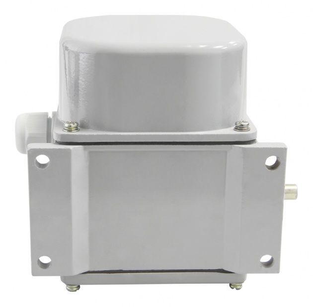 Выключатель концевой ВУ-250М У2