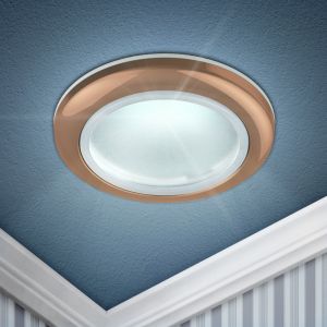 WR1 SC Светильник ЭРА влагозащищенный MR16,12V/220V, 50W медь (100/2400)