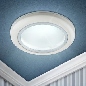 WR1 WH Светильник ЭРА влагозащищенный MR16,12V/220V, 50W белый (100/2400)